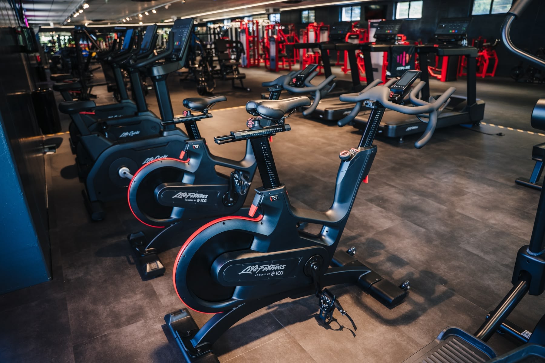 Ausdauertraining in der Cardio Zone im FITPULSE Sollenau