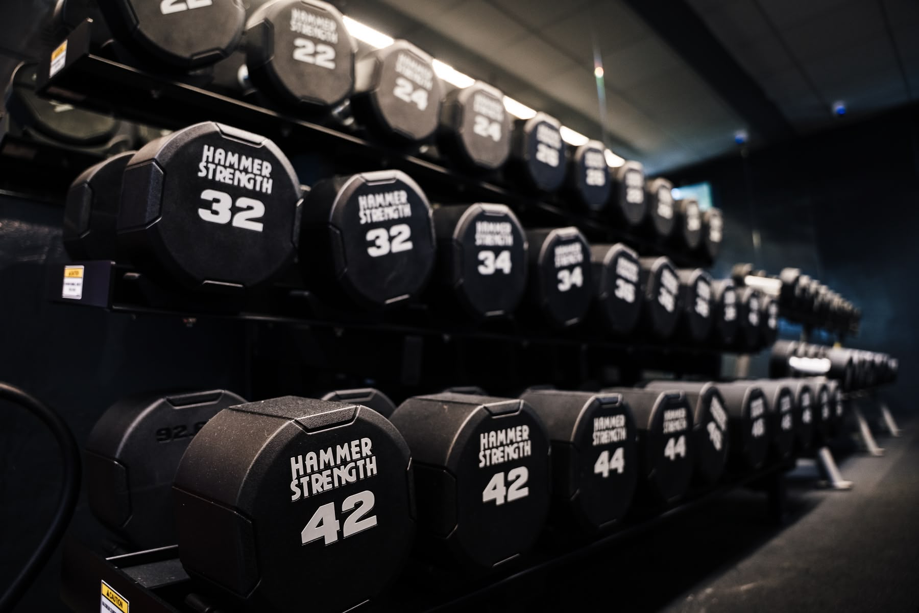 Krafttraining in der Iron Zone im FITPULSE Sollenau
